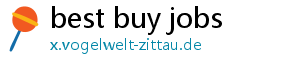 best buy jobs