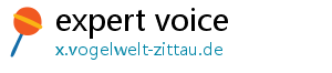 expert voice