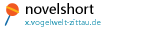 novelshort