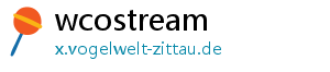 wcostream