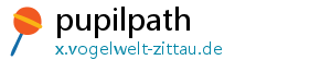 pupilpath