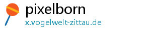 pixelborn