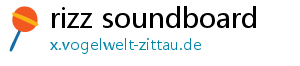 rizz soundboard