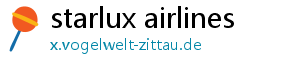 starlux airlines