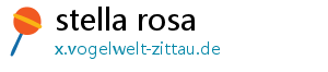 stella rosa